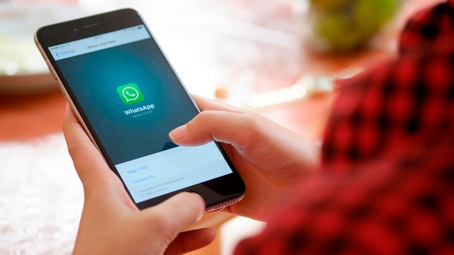 ¿Cómo puedes avisar a tus contactos de WhatsApp que cambiaste de número? 
