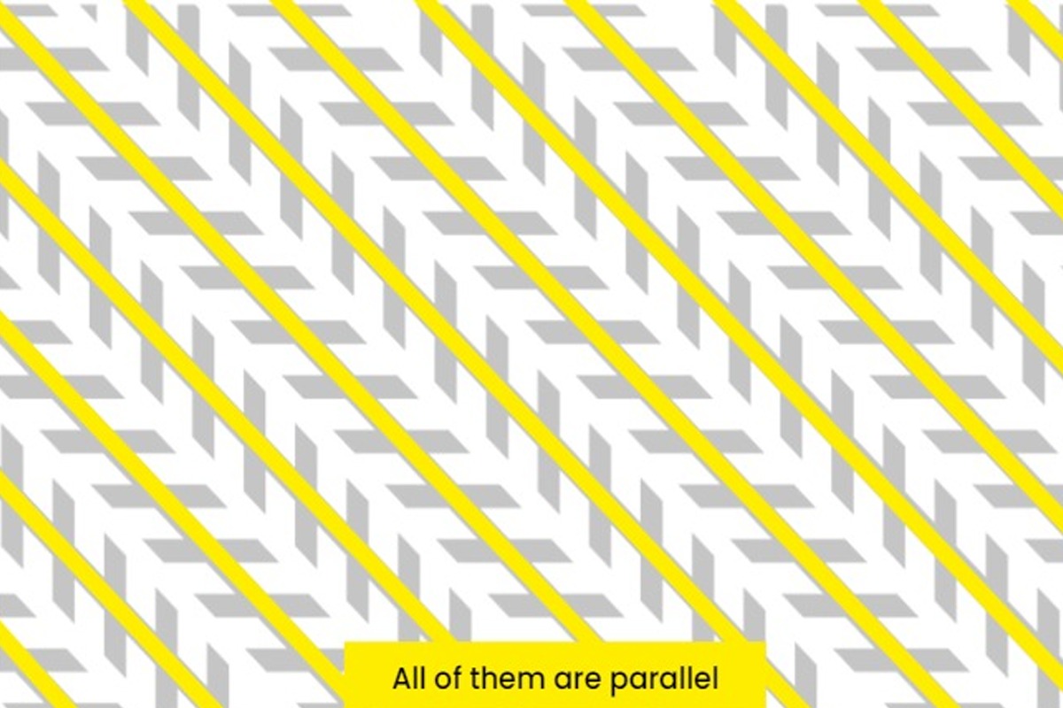 Reto visual | En esta ilusión óptica hay unas líneas paralelas que ...