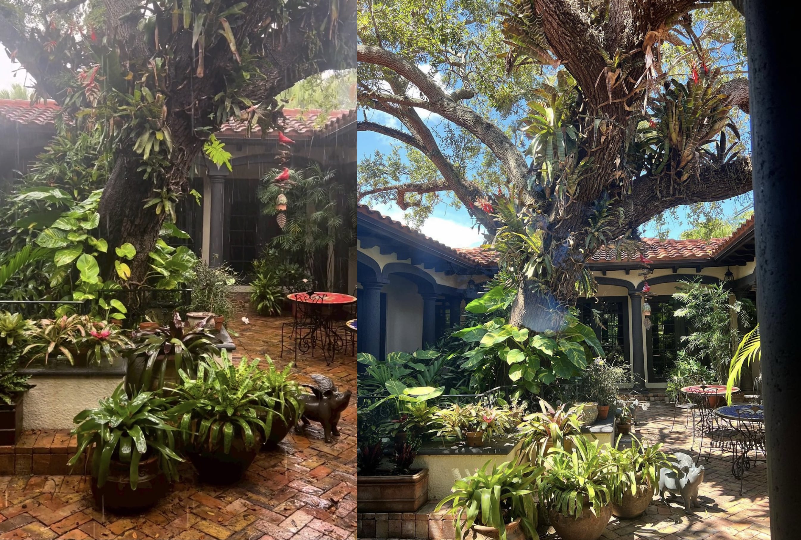 María Celeste compartió imágenes de su impresionante casa (Foto:
mariacelestearraras / Instagram)