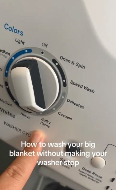 La clave está en aprovechar una opción que muchos de nosotros pasamos por alto: el ciclo para artículos voluminosos. (Foto: @estheticianpete)