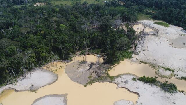 Madre de Dios: deforestación por minería ilegal crece en el Pariamanu y ya supera las 200 hectáreas