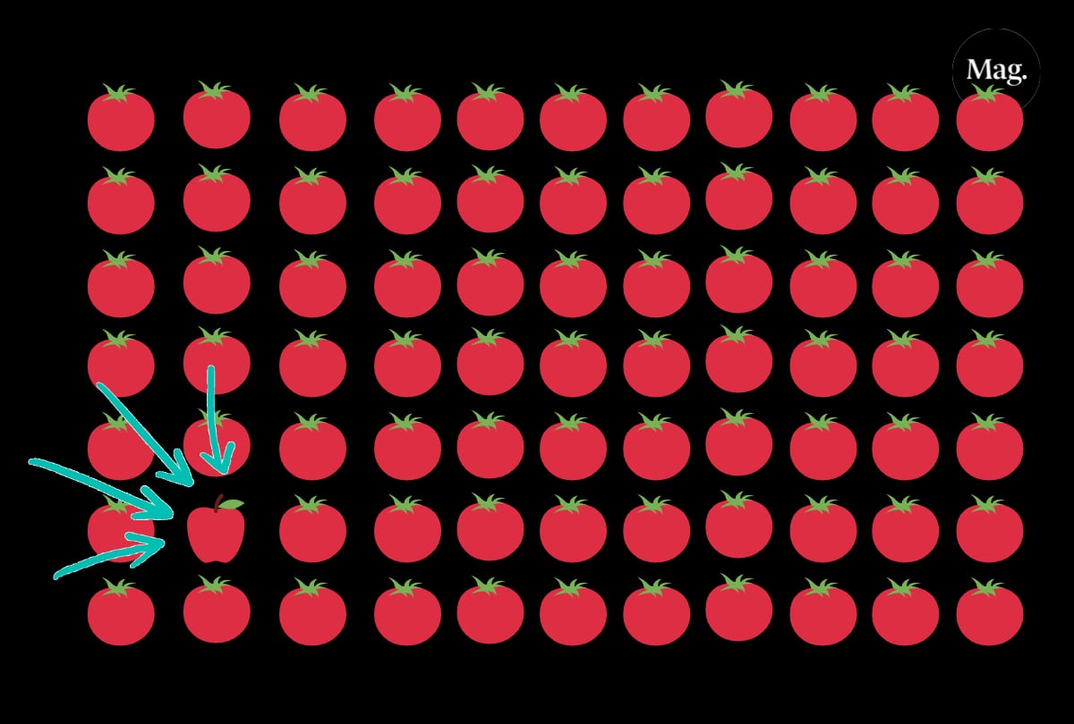 La figura que no concuerda es una manzana y está ubicada en la parte inferior izquierda de la imagen. (MAG)