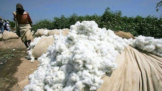 No aplicarán medidas compensatorias a la importación de algodón de EE.UU. 