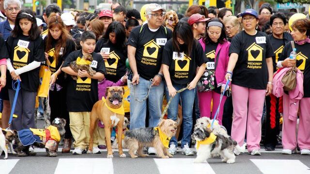 WUF: Fundación Huellas Perú organiza “Caminata Huellas 4K” en beneficio de los animales en estado de abandono