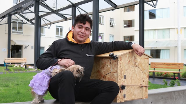 Día de los animales: Jóvenes de Cajamarca crean casa térmica para que las mascotas no mueran de frío