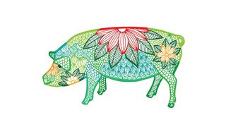 Horóscopo Chino 2019: predicciones para cada animal del zodiaco en el año del Cerdo