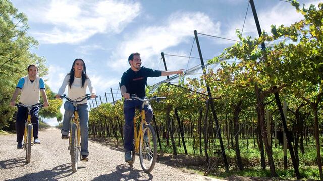 Enoturismo: Recorre las 5 mejores rutas del vino en Sudamérica