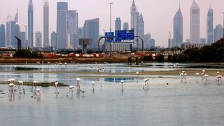Los países del Golfo en alerta ante inusuales lluvias torrenciales