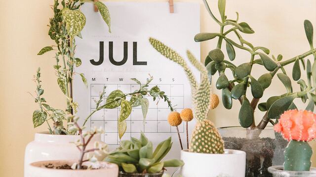 10 FRASES de julio para iniciar el séptimo mes del 2024 | Foto: Unsplash