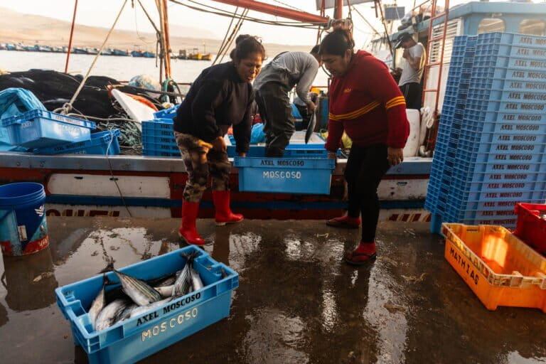 Las estibadoras ganan entre 50 y 60 soles, cerca de 17 dólares, por una sudorosa faena de dos a tres horas. Foto: Sebastián Castañeda