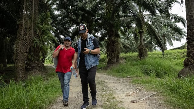 Amenazas de la ruta migratoria en Guatemala: dengue, arrestos y el cambio climático