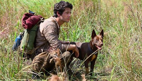 Boy es un perro callejero que aparece en “Amor y monstruos” cuando salva a Joel. (Foto: Netflix)