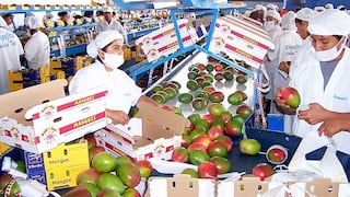 Envíos de frutas y hortalizas alcanzarían US$4.400 mlls al 2020