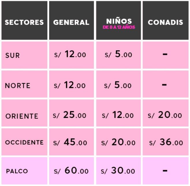 (Foto: Captura de pantalla)