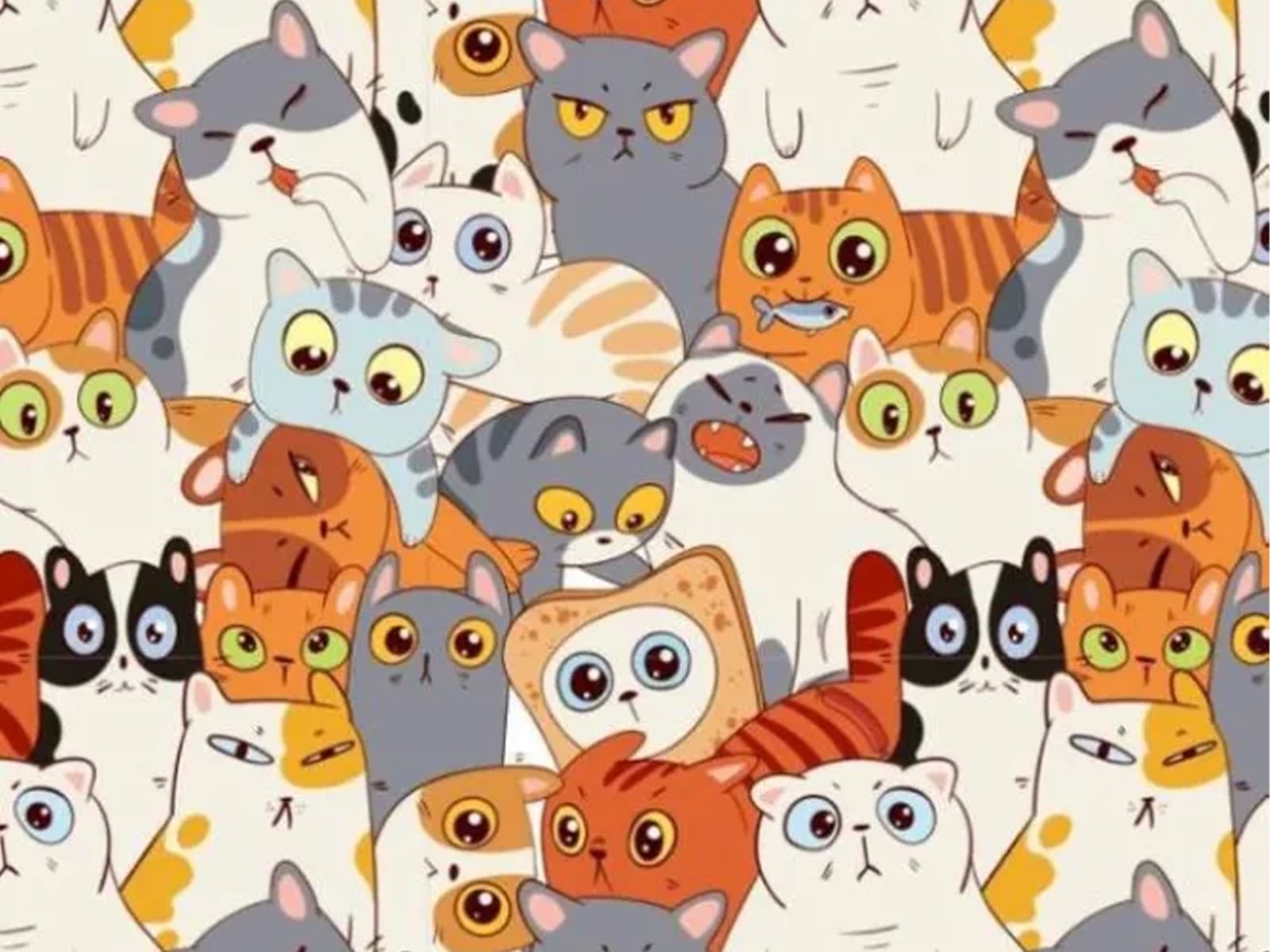 RETO VISUAL | Podrías tener una visión 20/20 si puedes detectar la salchicha escondida entre los gatos en menos de nueve segundos. | Bright Side