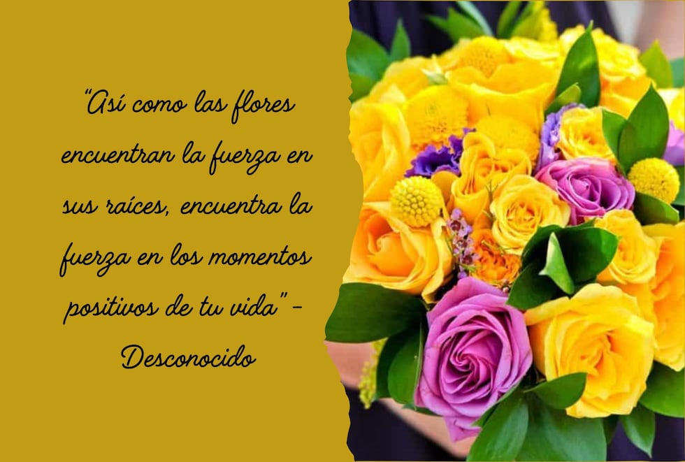 “Así como las flores encuentran la fuerza en sus raíces, encuentra la fuerza en los momentos positivos de tu vida” - Desconocido | Foto de Pinterest.