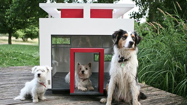 ¿Comprarías esta 'casita' de lujo para tus perros?