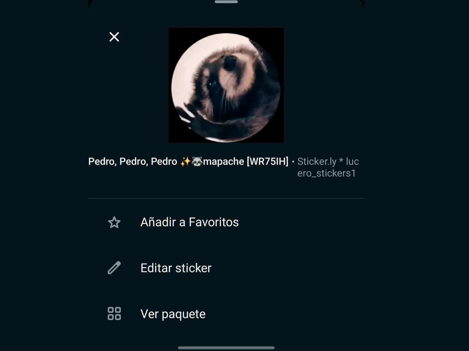 WHATSAPP | De esta manera lucirá el sticker del "Mapache Pedro" en WhatsApp. (Foto: MAG - Rommel Yupanqui)