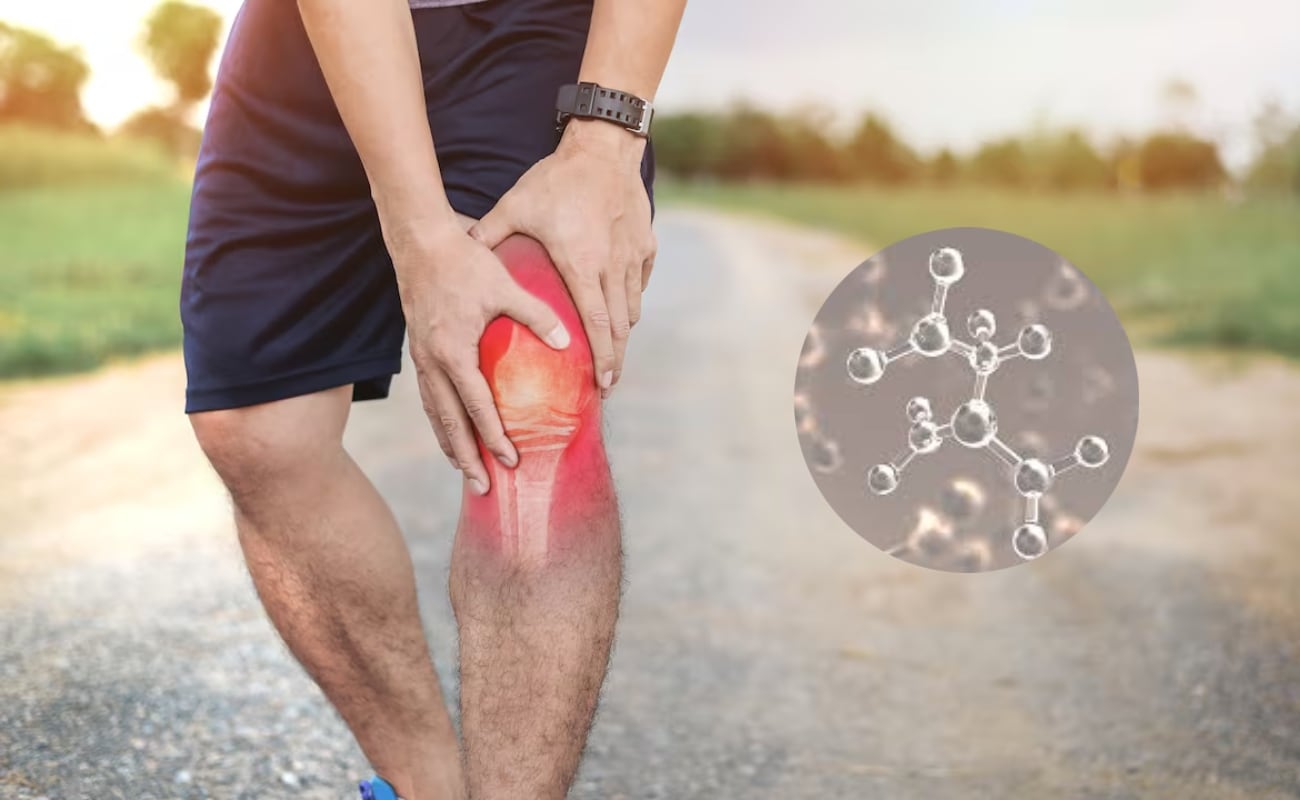 ¡Puro colágeno! Las verduras que están repletas de esta proteína y ayudan a tu rodilla | ¿Cuáles son estos alimentos que proveen este importante nutriente en tu cuerpo? En la siguiente nota te contaremos todo lo que debes saber. (Archivo)