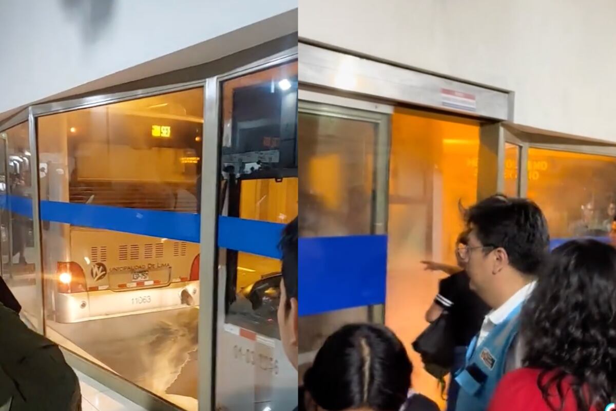 El incidente en bus del Metropolitano ocurrió la noche del 27 de diciembre en una de las estaciones más concurridas. Foto: composición EC/captura @jfreddyrl