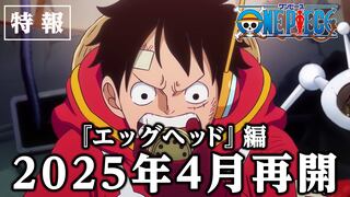 “ONE PIECE”: anime entra en break por 6 meses