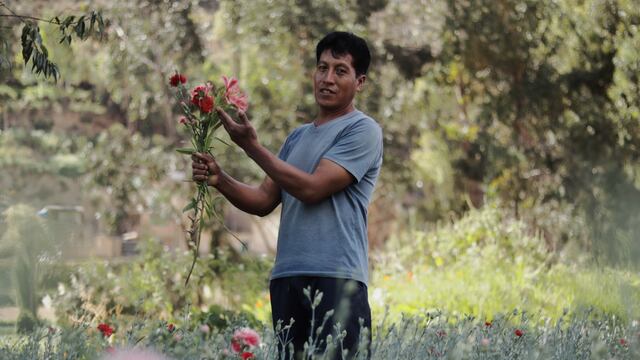 Milton Manturano, el floricultor que busca vender las flores tarmeñas en el extranjero