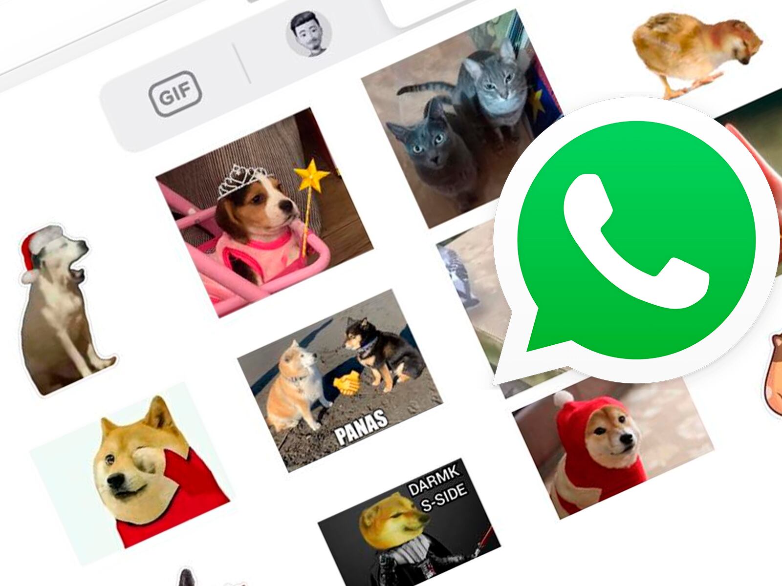WHATSAPP | El truco para poder crear stickers en WhatsApp sin necesidad de descargar programas. (Foto: MAG - Rommel Yupanqui)