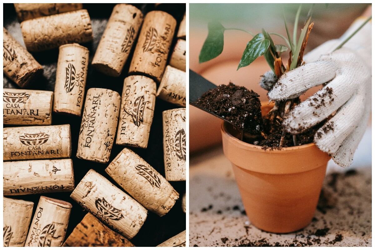 El tapón de corcho es un producto 100% natural y ecológico. (Fotos: Pexels)