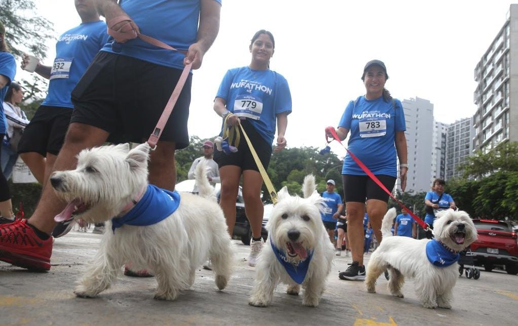 Los participantes ya pueden recoger sus kits de la carrera desde este viernes 12 de diciembre en la tienda Cinco AM de San Isidro.