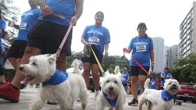 Los participantes ya pueden recoger sus kits de la carrera desde este viernes 12 de diciembre en la tienda Cinco AM de San Isidro.