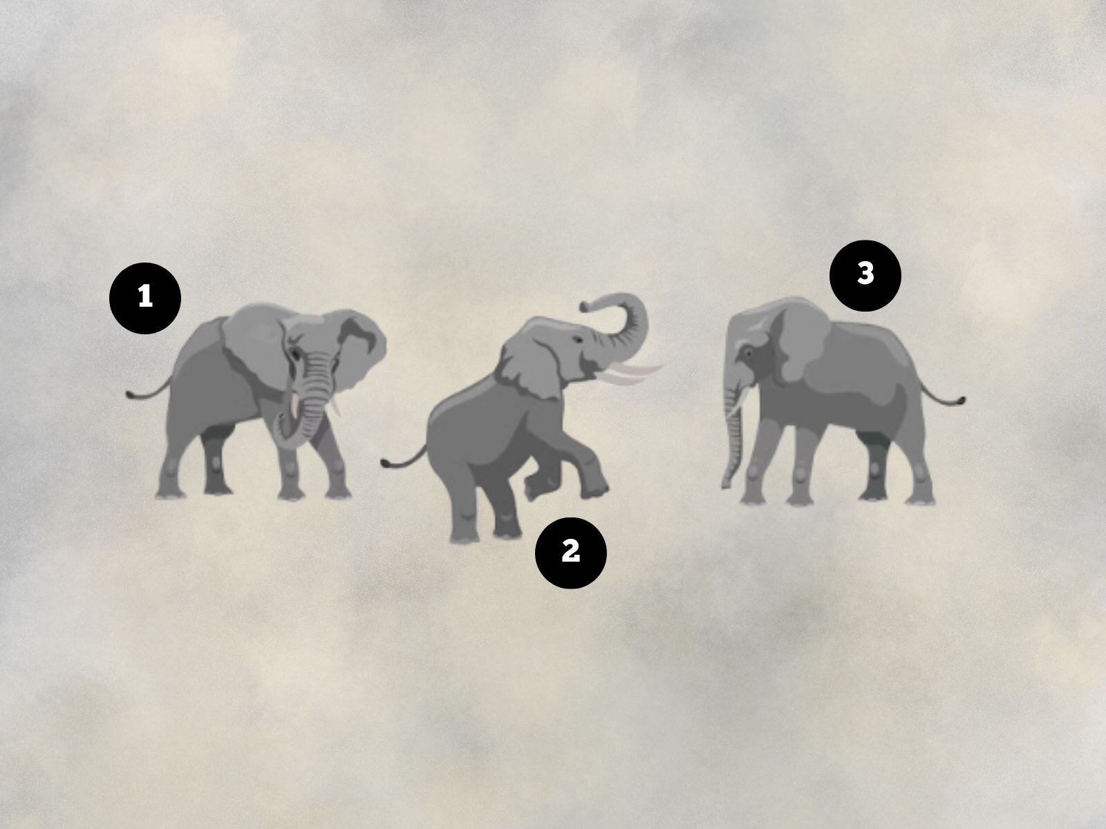 Test de personalidad: Un elefante te revelará si sueles mentir en gran parte de tus días. (Creación: Mag / Freepik)