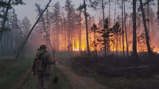 Voluntarios apoyan a los bomberos a hacer frente de los incendios forestales en Siberia