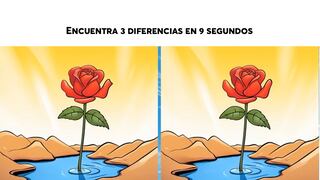 Hay 3 diferencias entre las 2 rosas y solo tienes 9 segundos para hallarlas