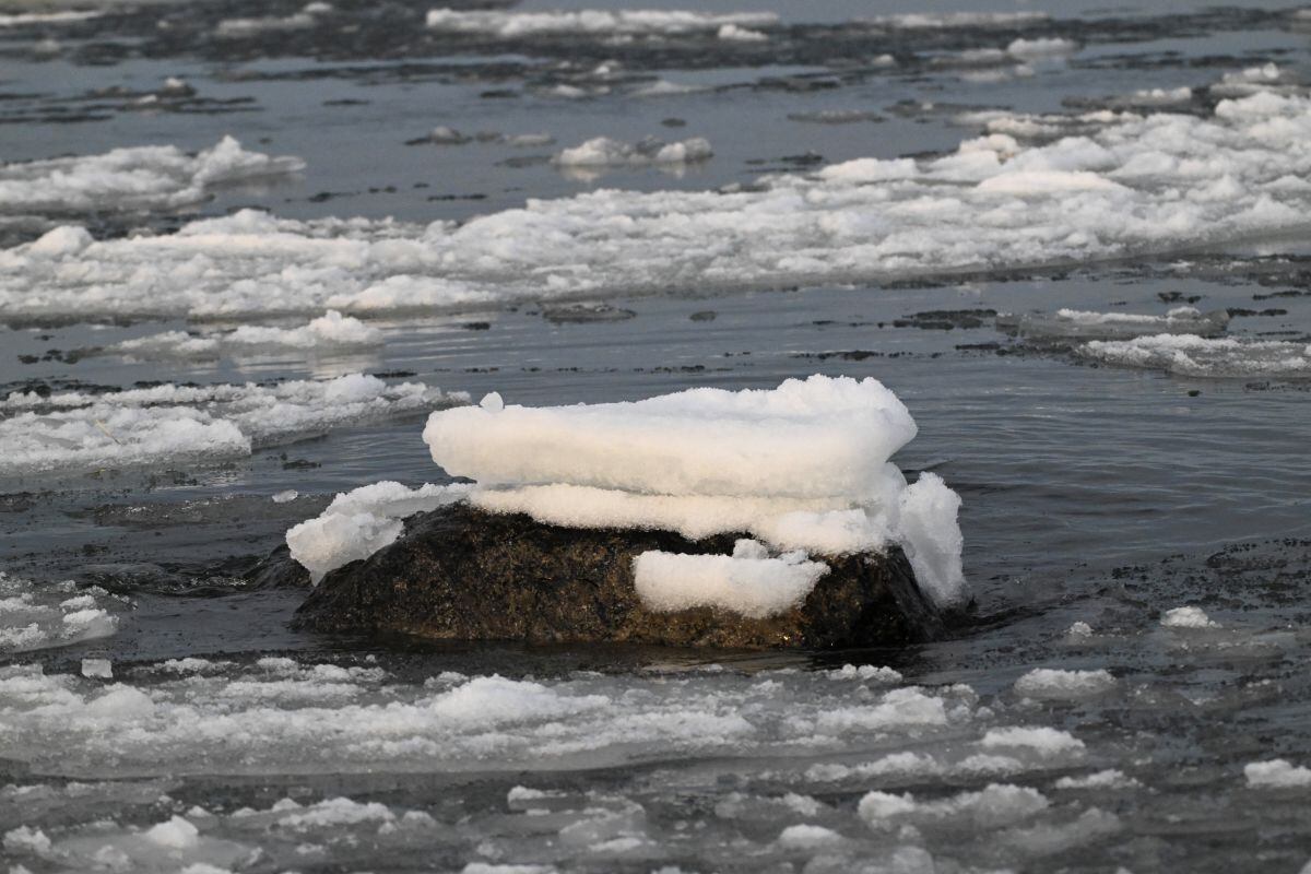 El reporte señala que es probable que la temperatura media mundial se mantenga en los próximos años en +1,5°C o por encima de los niveles preindustriales, antes de alcanzar el umbral de los +2°C en 2045.