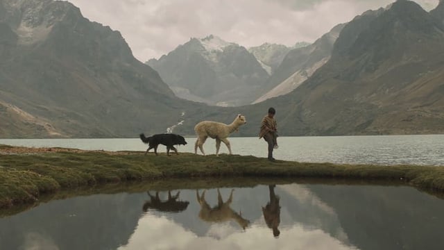 La película peruana "Raíz" se estrenó en el Festival de Cine de Berlín 2024, donde obtuvo una mención especial. (Festival de Cine de Lima)