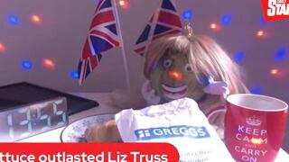 “¡Ganó la lechuga!”: el insólito “desafío” sobre el gobierno de Liz Truss en el Reino Unido que se hizo viral