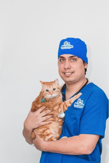 El compromiso de José Luis Segura, de Mar de Colas, va más allá de curar: busca dar nuevas oportunidades a animales rescatados. (Cortesía de José Luis Segura)