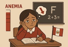 La “generación anémica” y un mal que trunca el futuro de los niños: La relación entre la anemia infantil y el rendimiento escolar