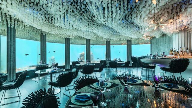 Acércate a la naturaleza cenando en este restaurante submarino