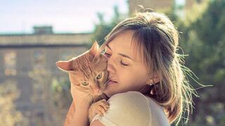 ¿Alérgica a los gatos? Si te gustan, hay solución