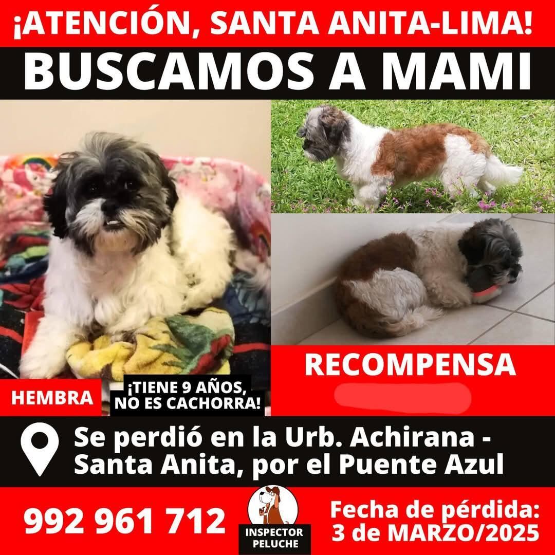 Sayuri recurrió al apoyo de "Inspector Peluche" para dar con el paradero de su engreída.