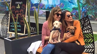 Restaurante promueve la adopción de perros WUF en nueva terraza ‘pet friendly’
