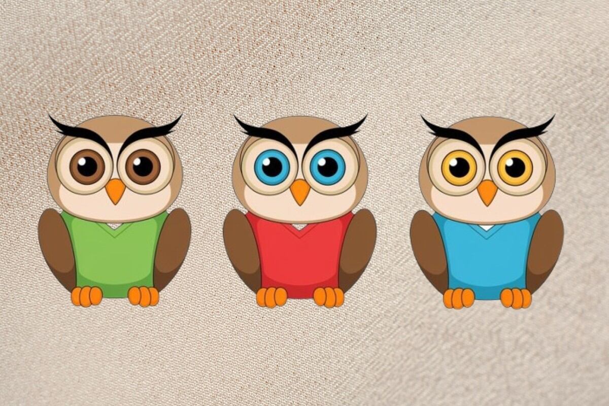 Con una simple elección del búho que más llame tu atención podrás saber en qué eres hábil. (Imagen: El Comercio/Mag)