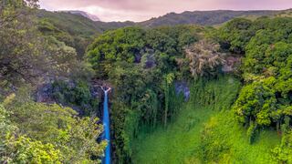Camino Pipiwai: recorre esta ruta en el corazón de Hawái