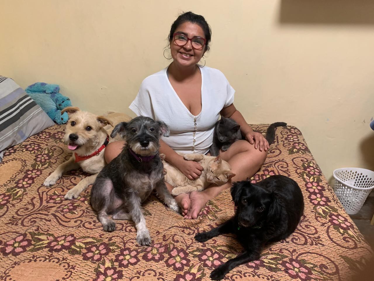 Cristina Ramírez con sus engreídos: Mazapan, Sochi, Galileo, Orión y Zhera. "Son los ángeles que llegaron a mi vida en momentos precisos", recalca la madrina.