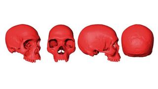 Así lucía el cráneo del ancestro más antiguo de los humanos: vivió hace 300.000 años | VIDEO