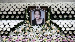 Goo Hara: muerte de estrella del K-pop reabre debate sobre el ciberacoso en Corea del Sur 