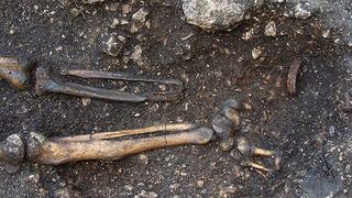 Arqueólogos hallan en Austria una prótesis de pie del siglo XVI