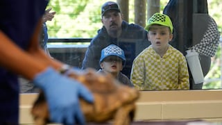 El zoológico de Nueva Jersey que sorprende a sus visitantes con cirugías y tratamientos veterinarios en vivo: así es el Turtle Back Zoo