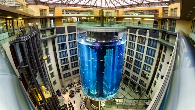 Estalló el acuario gigante de este hotel en Berlín, hogar de 1500 peces